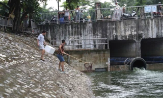 Người dân hồ hởi vợt cá sau khi sông Tô Lịch được bổ cập nước từ Hồ Tây