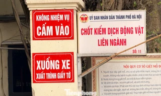 Vụ tiêu thụ gần 300 tấn lợn bệnh ở Hà Nội: Thu giữ cuốn sổ ghi chép việc ăn chia tiền 'làm luật' 