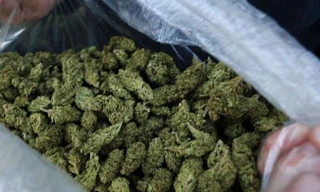 'Cô tiên thơm' ổ nhóm bán cần sa qua mạng lớn nhất từ trước tới nay bị bóc gỡ