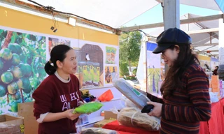 Sản xuất miến dong ở HTX.