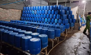 Dùng chất độc có thể gây chết người để sản xuất hơn 500 tấn giá đỗ 