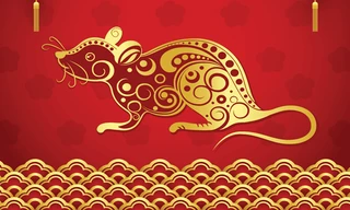 Tử vi tuổi Tý năm 2026: Nhiều thử thách, dễ gặp sự cố ngoài ý muốn