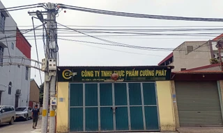 Bên trong công ty cung cấp thịt lợn nhiễm dịch tả lợn Châu Phi vào trường học