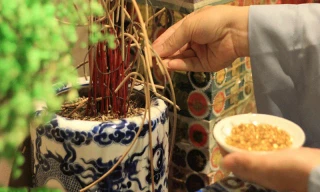 Điều cần tránh khi bao sái bát hương