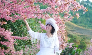 Đổ xô du lịch Sa Pa, Mù Cang Chải 