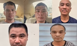 Triệt phá ổ nhóm bắt trộm hơn 300 con mèo trên địa bàn Hà Nội