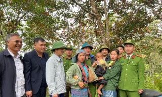 Bé trai 4 tuổi bị lạc qua đêm trong rừng