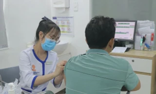 Lào Cai: Một xã có ba người nghi bị chó dại cắn, một trường hợp đã tử vong