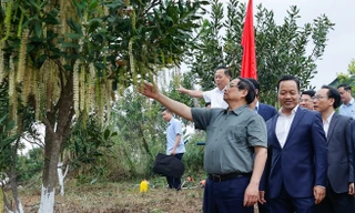 Thủ tướng Phạm Minh Chính thăm và làm việc tại Điện Biên