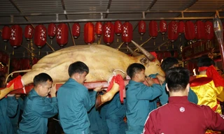 Hàng nghìn người xuyên đêm xem lễ tế trâu trắng và rước Mẫu ở Lào Cai