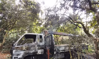 Hà Nội: Xe tải cẩu cây vướng dây điện, tài xế tử vong