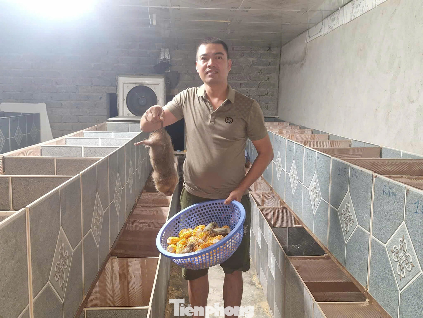 Багато домогосподарств у цьому районі звернулися до моделі вирощування бамбукових щурів. tp-10.jpg