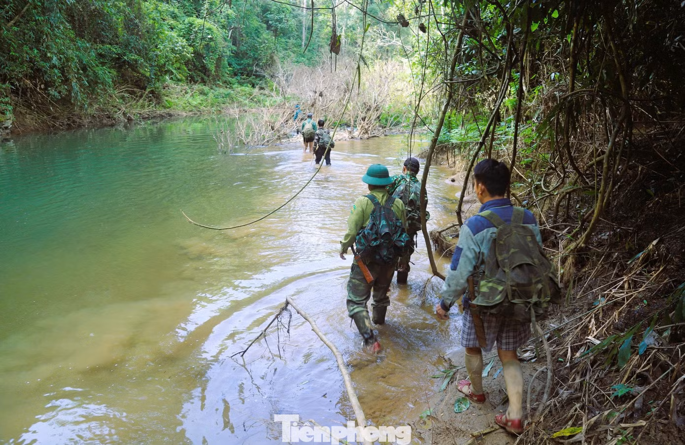tp-2.jpg