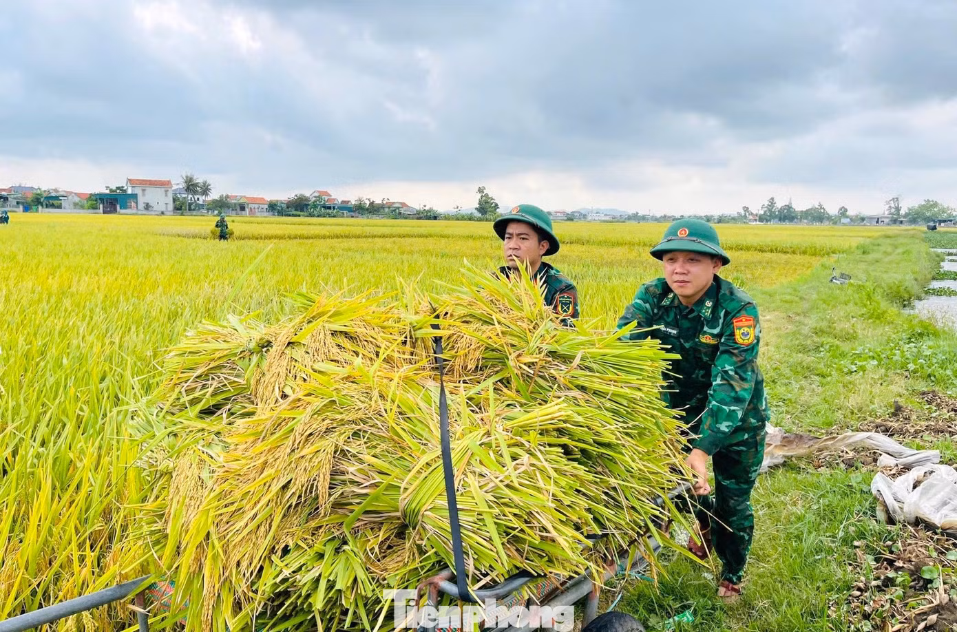 tp-qphu4.jpg