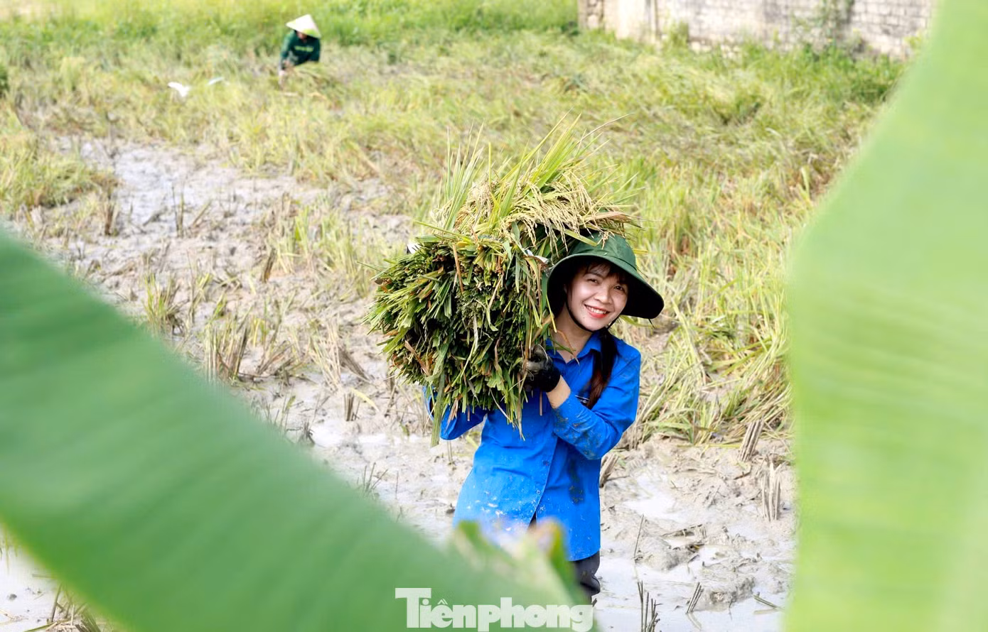 tp-qthanh7.jpg