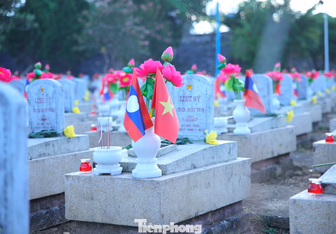 tp-21.jpg