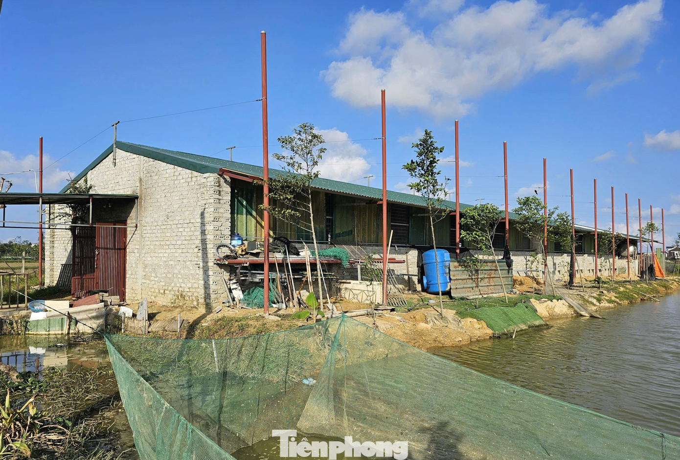 Ο κ. Nguyen έχει επενδύσει σε μια καλά δομημένη φάρμα εκτροφής μοσχογαλών. tp-3082296665914549670.jpg