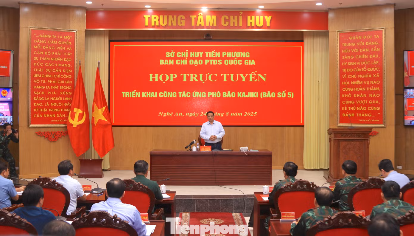 tp-1.jpg