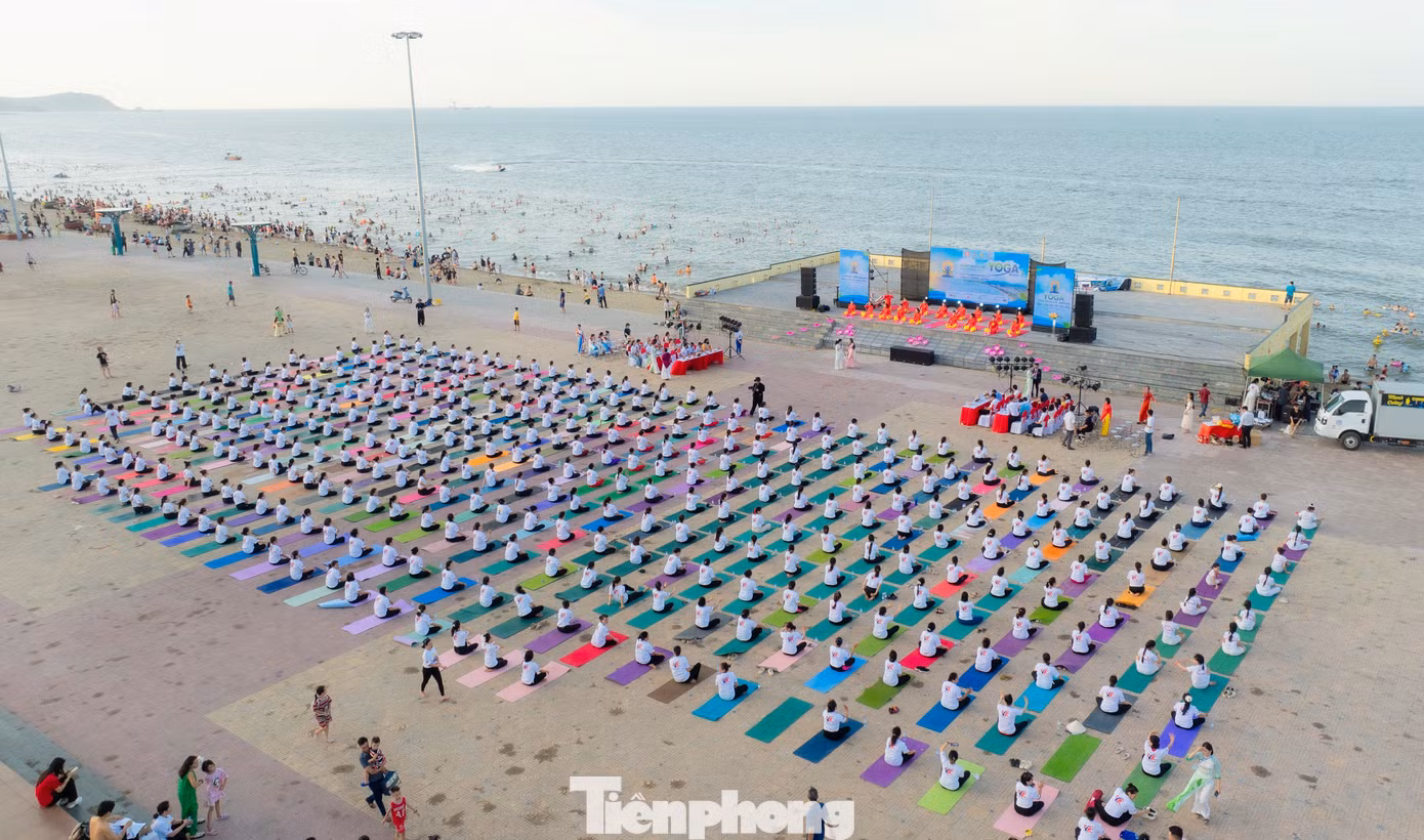 tp-dji-0713.jpg