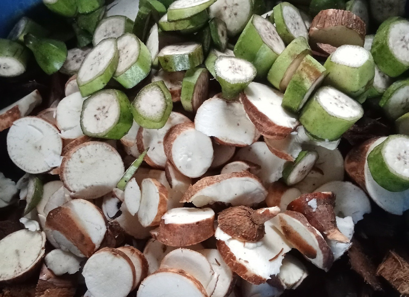 Paszą dla dżdżownic palmowych są produkty uboczne rolnictwa, takie jak skorupki orzechów kokosowych, maniok i banany. 555548098-122150644490409041-2656358405616730413-n.jpg