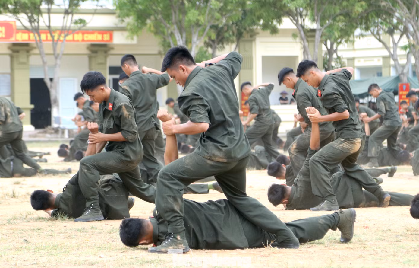 tp-m3.jpg