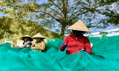 Ban quản lý cảng Hòn Rớ kiểm tra thông tin tàu cá