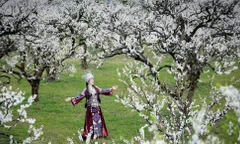 Dịp nghỉ Tết Dương lịch 2026: Du lịch sôi động