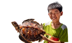 Con đồi mồi (tiêu bản) gợi nhớ đến Hòn Sơn Rái một thời bạt ngàn cua, ốc, rái cá, rùa biểnẢnh: Lê Văn Chương