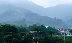 Chiều về bản Ảnh: Nguyễn Tuấn