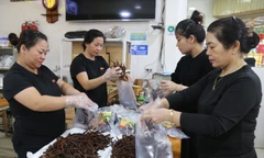 Giữ hồn lươn xứ Nghệ 