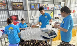 Cán bộ Đoàn với hệ sinh thái khởi nghiệp nâng sinh kế vùng ngập mặn Cà Mau