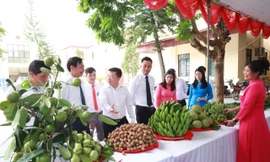 Xã đảo duy nhất Thủ đô vươn lên thoát nghèo, phát triển nông nghiệp bền vững