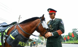 Những chàng kỵ binh 'vượt nắng, thắng mưa' trên lưng ngựa thép