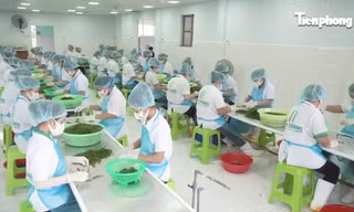 Kinh tế tư nhân - Động lực then chốt để Khánh Hòa bứt phá 