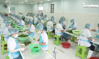 Kinh tế tư nhân - Động lực then chốt để Khánh Hòa bứt phá 