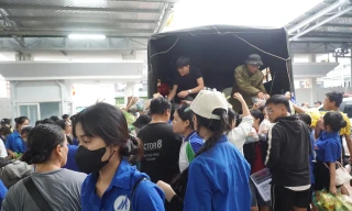 Tất cả đều hối hả, khẩn trương.