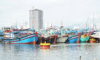 Khánh Hòa cấm biển từ 7 giờ ngày 28/11 để ứng phó bão số 15