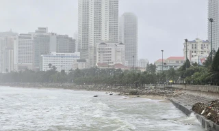 Nước lũ trên sống Cái Nha Trang đang lên rất cao.