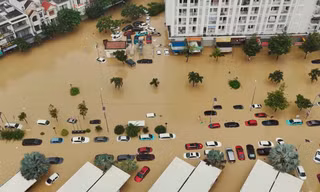 Mưa lũ lịch sử ở Khánh Hòa đã nhấn chìm nhiều tài sản của người dân, trong đó có loạt ô tô.