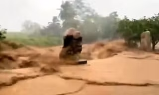 Lũ cuồn cuộn đổ về, tàn phá nhiều diện tích hoa màu ở Khánh Hòa