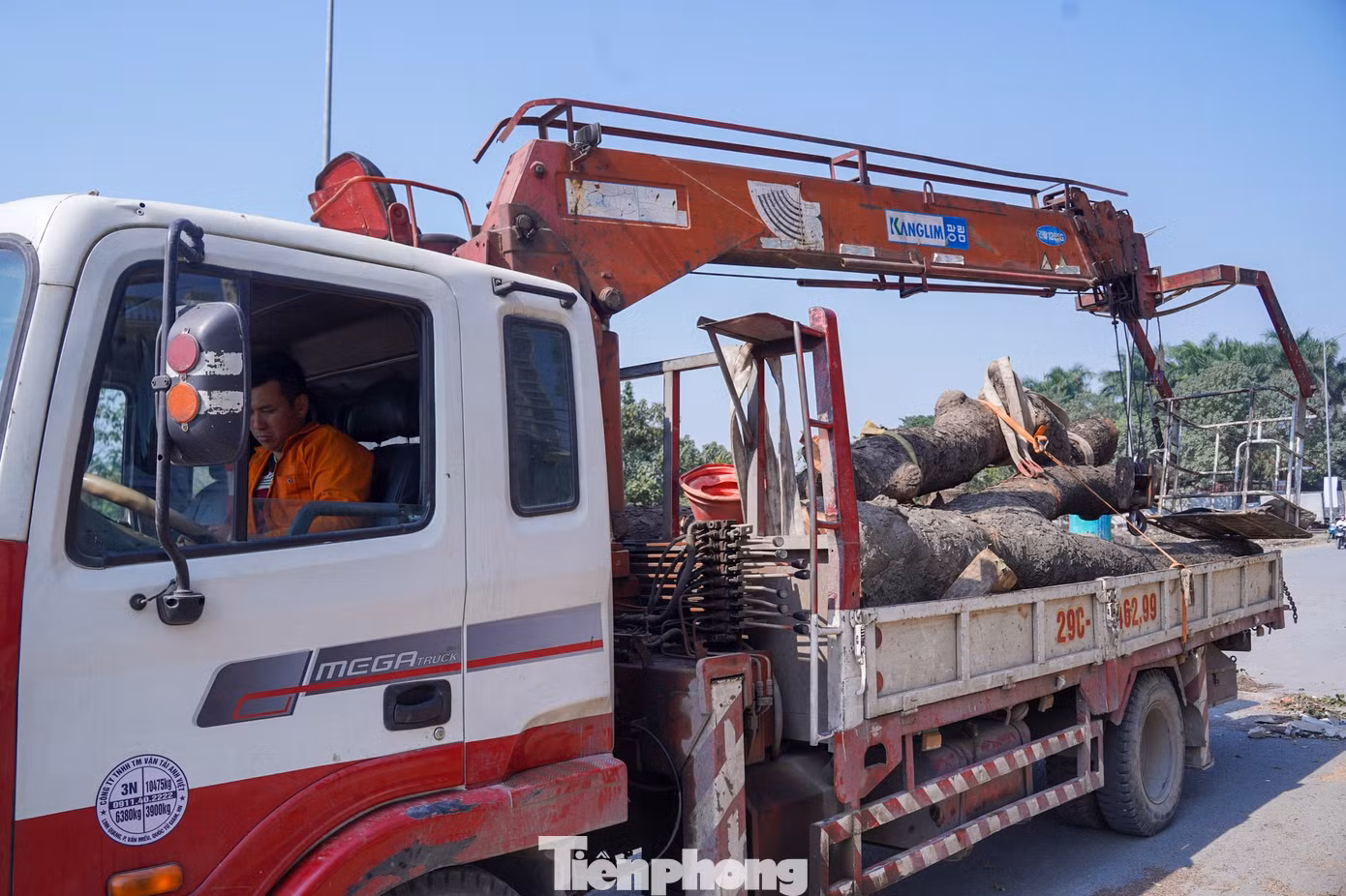 tp-tienphong-1268.jpg