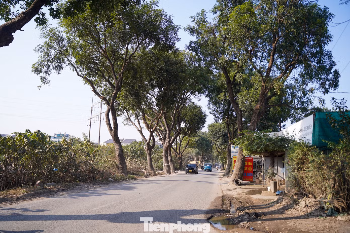 tp-tienphong-1287.jpg