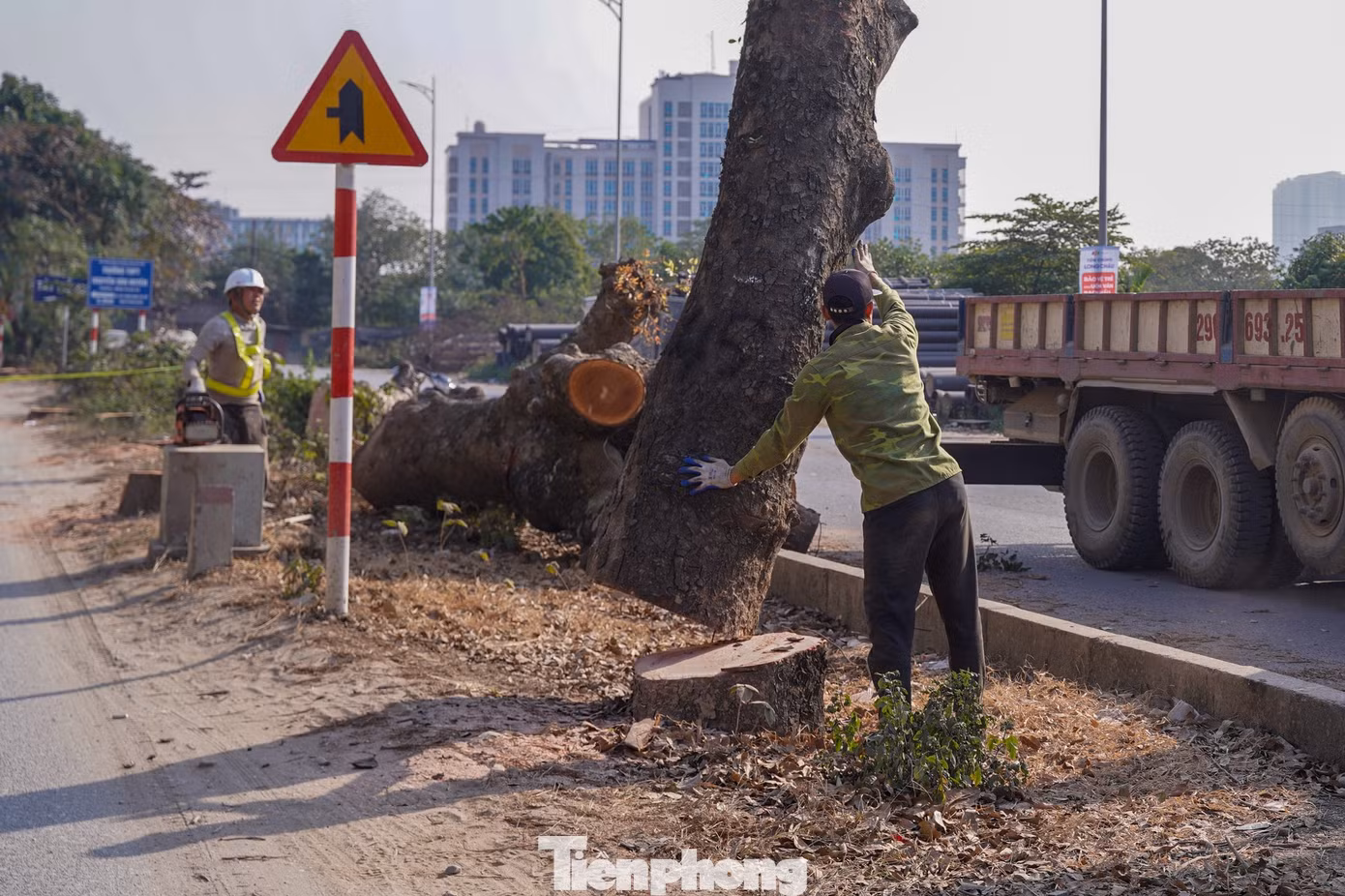 tp-tienphong-1280.jpg