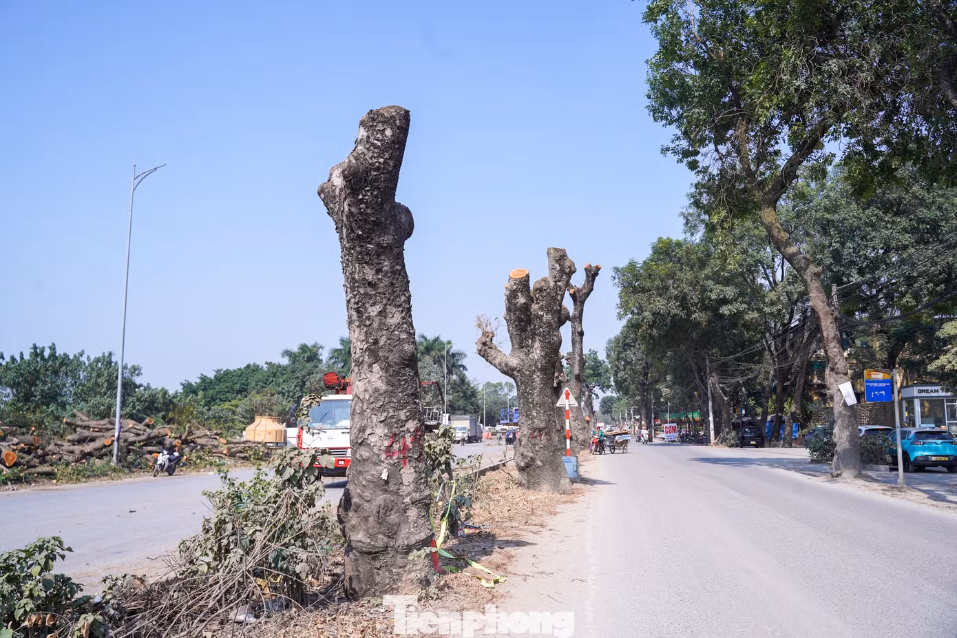 tp-tienphong-1270.jpg