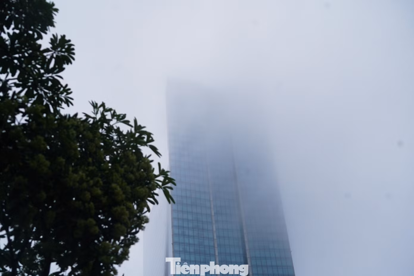 tp-tienphong-139.jpg