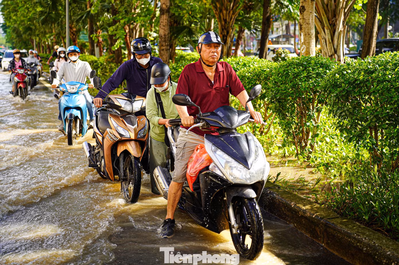 tp-tienphong-4.jpg