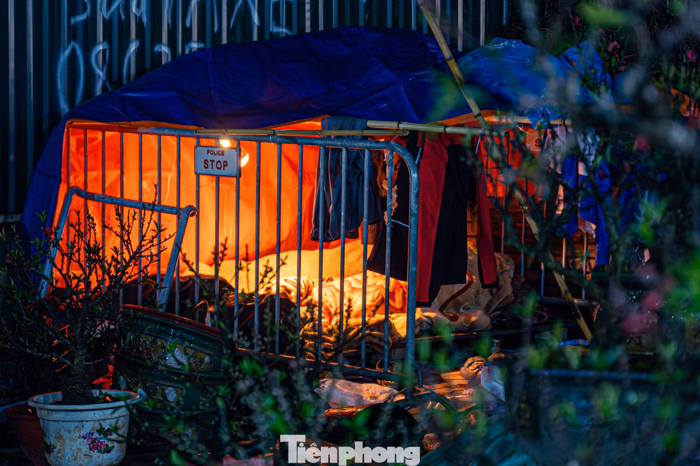 tp-baotienphong-224.jpg