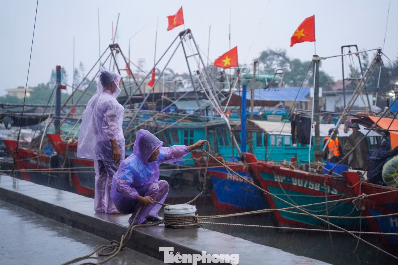 tp-haiphong-29.jpg