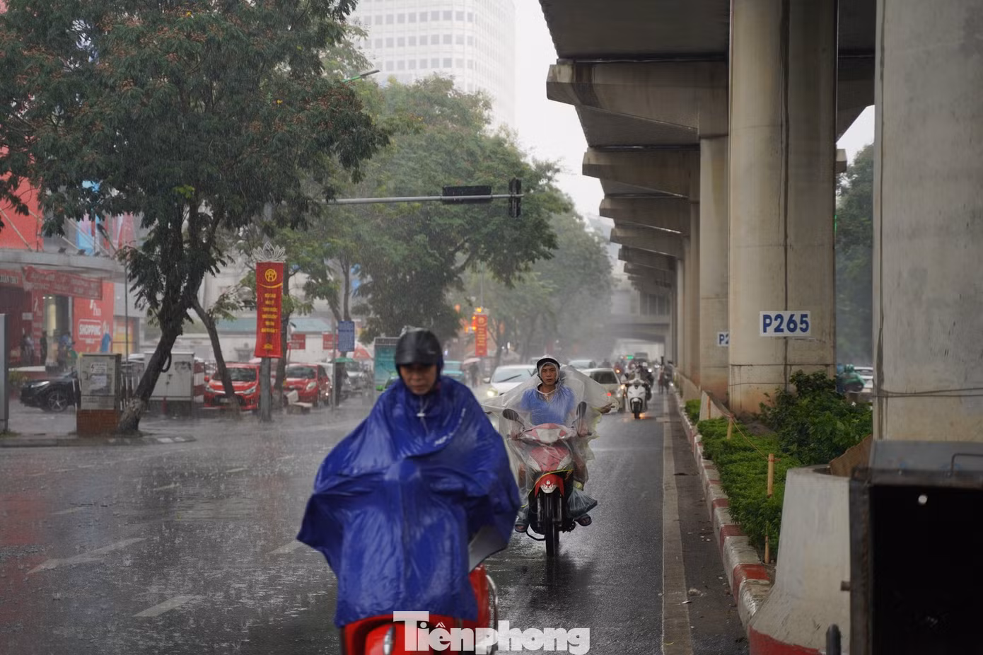 tp-haiphong.jpg