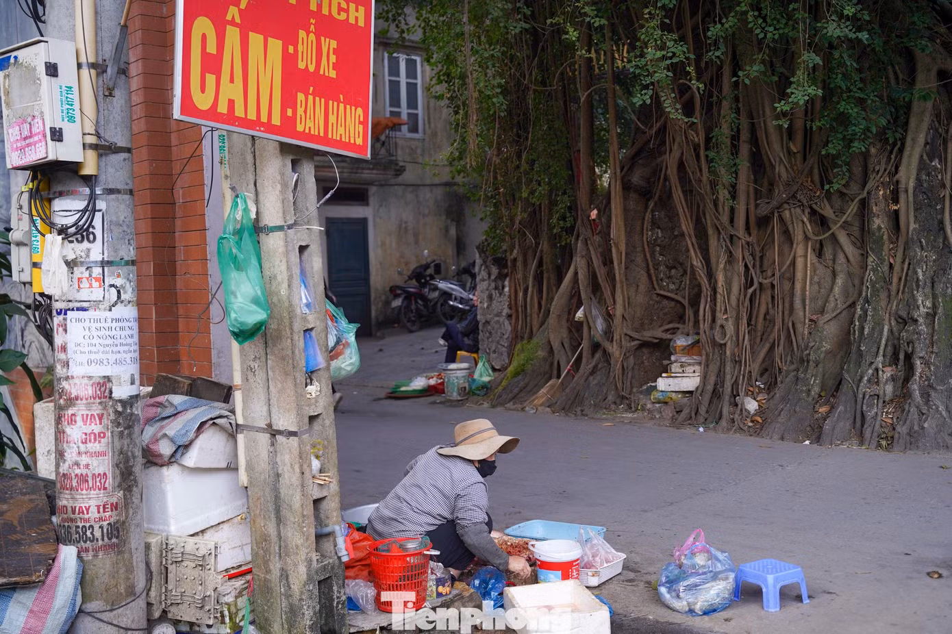 tp-baotienphong-298.jpg